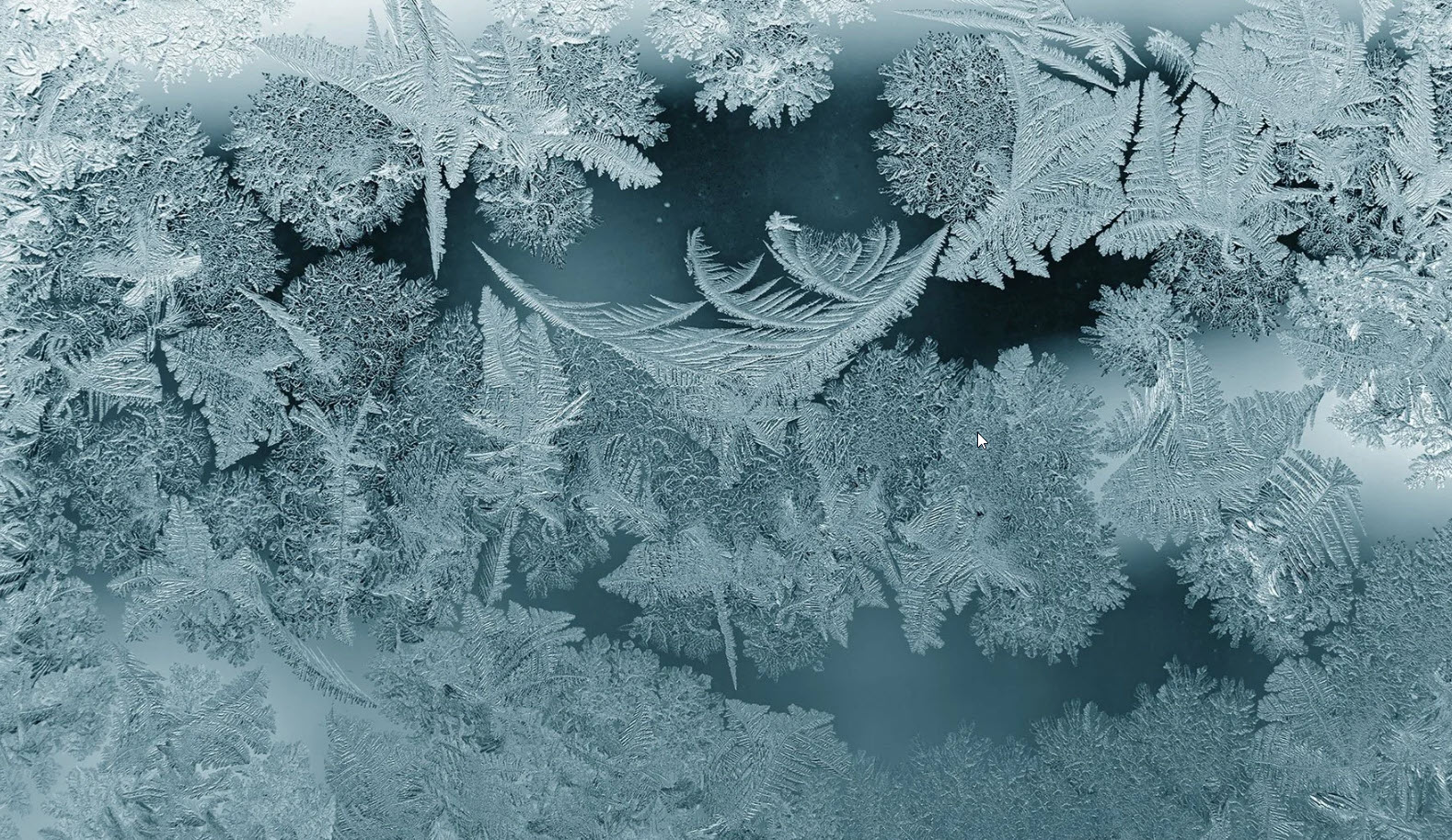 Crystalisation of water in nature - Veda Austin - Structured Water & EESystem benefits.