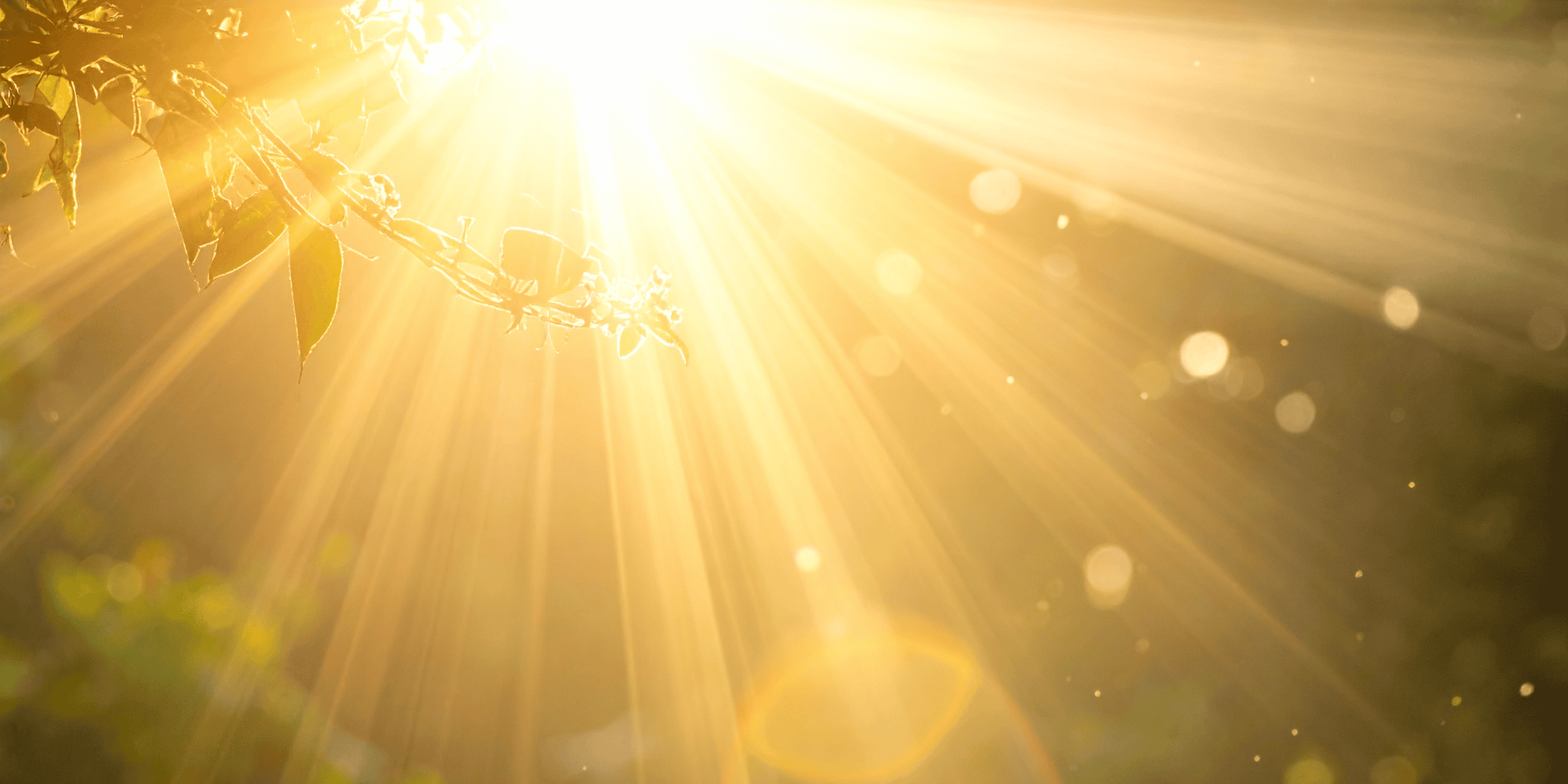 Bright yellow sunlight creating soft circles of light, symbolising natural energy, light frequency, and holistic wellbeing.